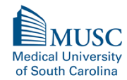 MUSC Foundation Logo